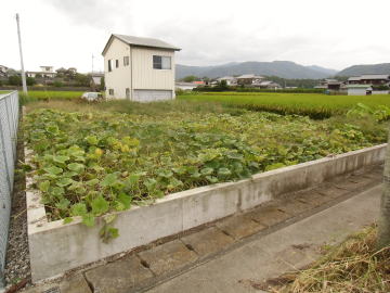 現地写真01