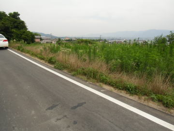 現地写真02