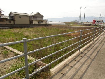 現地写真2