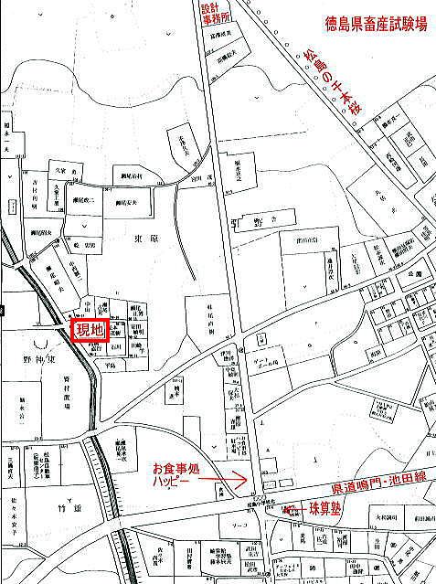 現地地図