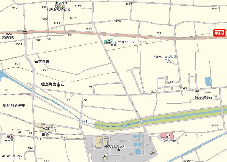現地地図