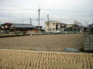現地写真02