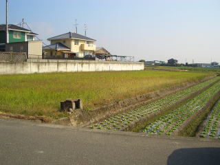 現地写真