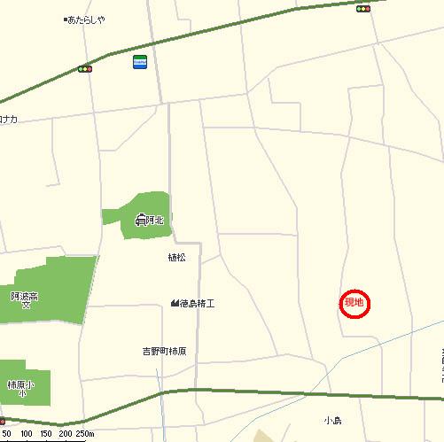 現地地図
